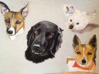 /album/galerie-photos/photo-1121-jpg/